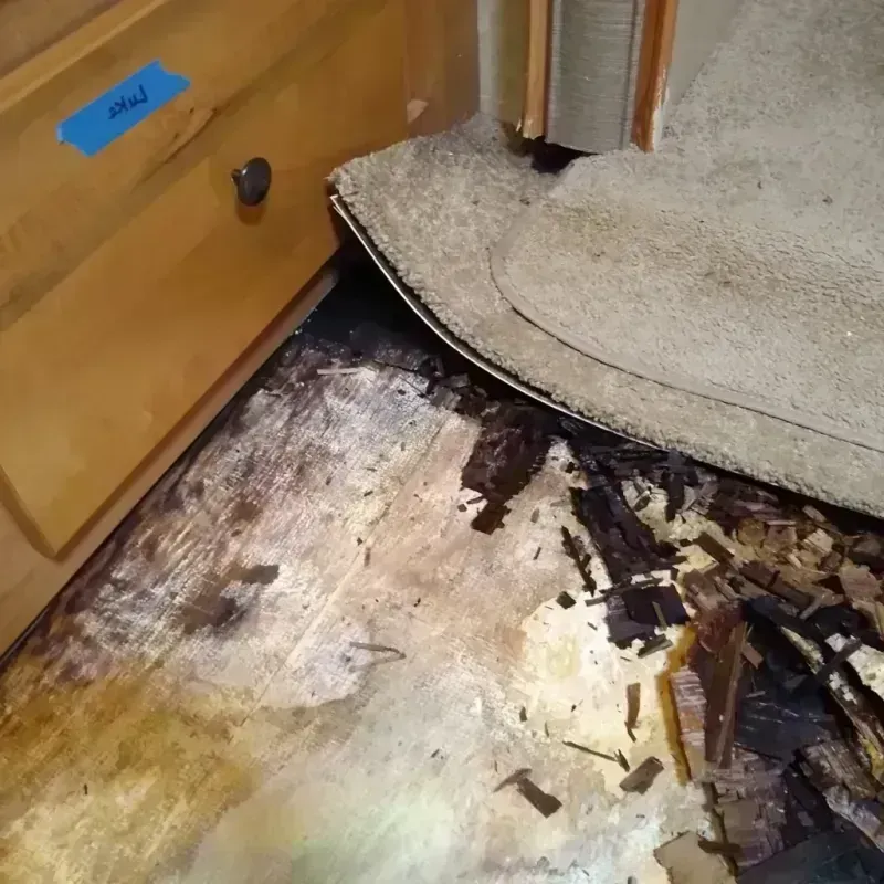 Wood Floor Water Damage in Random Lake, WI